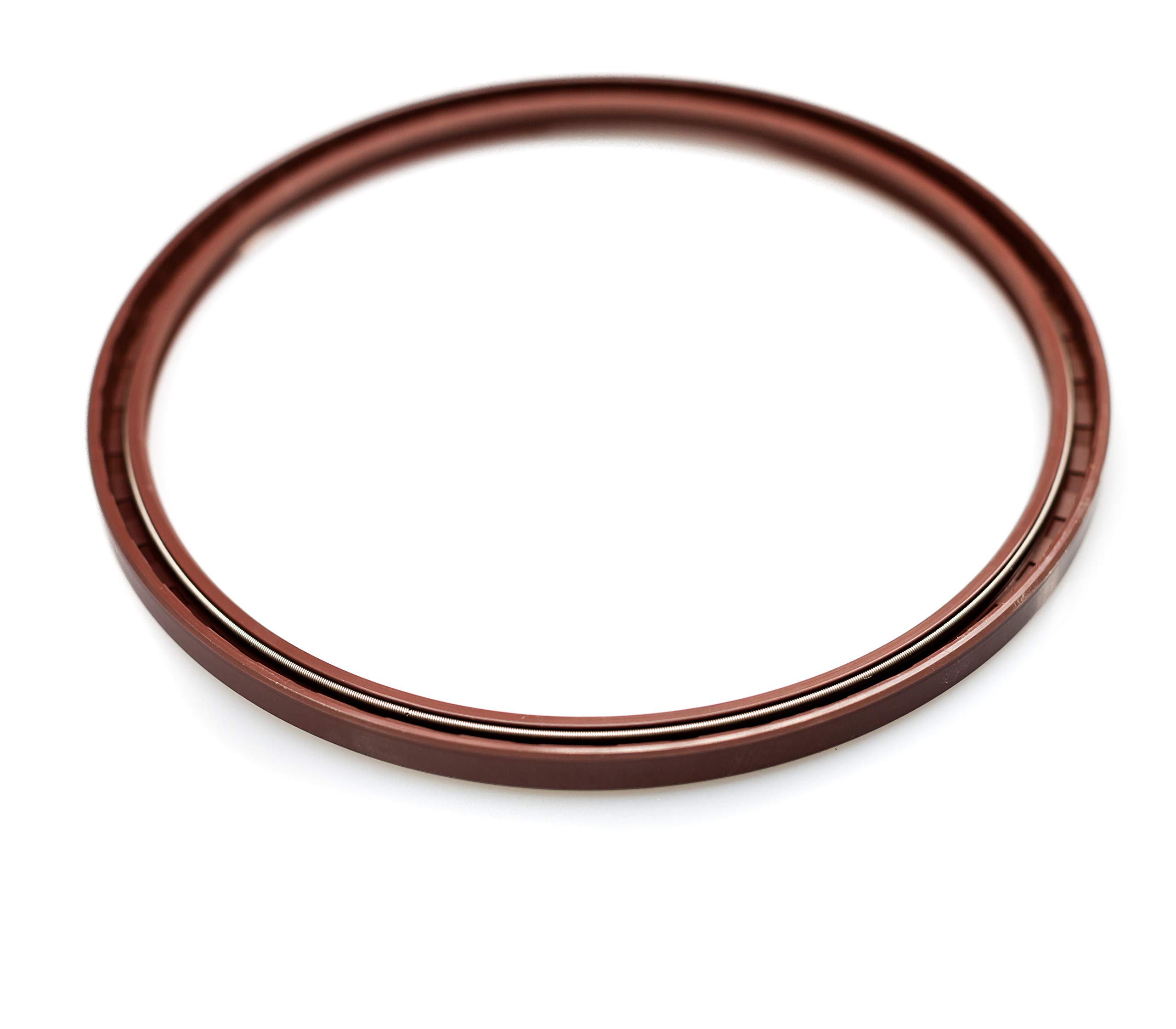EAI 22mm X 36mm X 10mm FPM/FKM Double Lip Oil Seal With Stainless Steel Spring - View #6