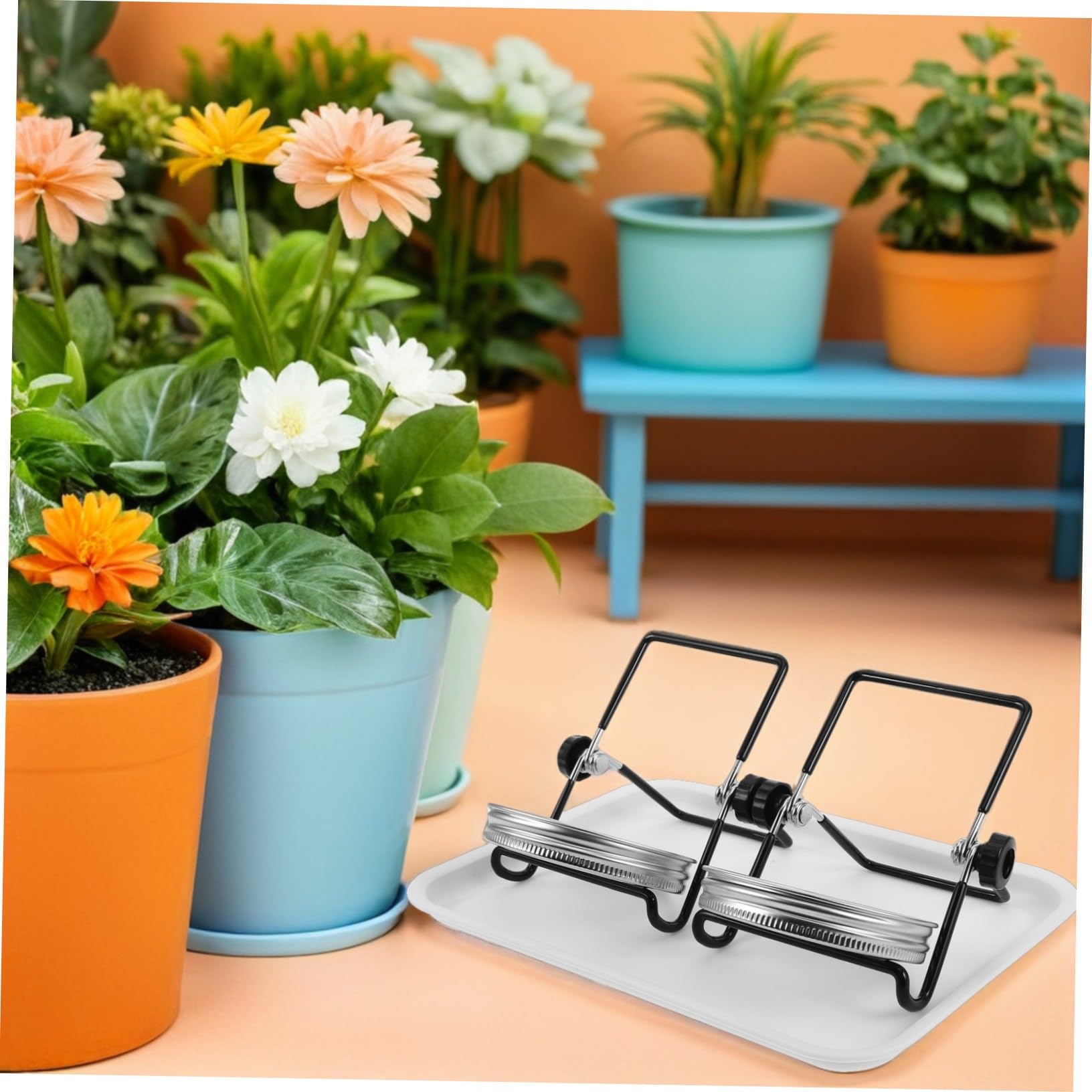 HANABASS 2 Juegos Kit de Germinación para Tarros de Boca Ancha con Tapas y Malla de Acero Inoxidable Soporte y Bandeja para Brotes Ventilación Óptima y Fácil Limpieza para Cultivo Casa