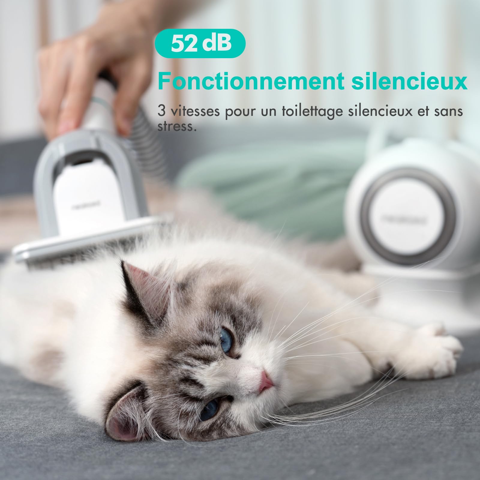 Neakasa P1 Pro Brosse Chat, Brosse Chien, Tondeuse professionnelle pour chats et chiens, Aspirateur de poils 13000 Pa, Silencieuse 52 dB, 5 Outils de toilettage pour poils courts, longs et épais