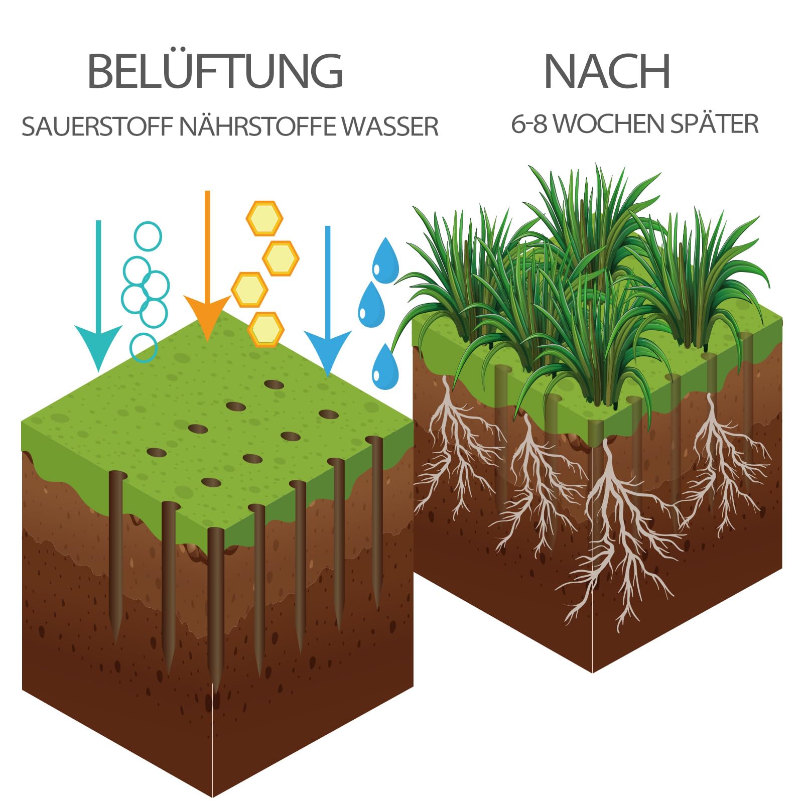 Walensee Rasenlüfter mit 15 Stahlspikes, Manueller Rasenbelüfter mit 3 Reihen und Langstiel, Heavy Duty Aerifizierer zur Bodenbelüftung, Gartenwerkzeug für Verdichteten Boden, Rasenpflege