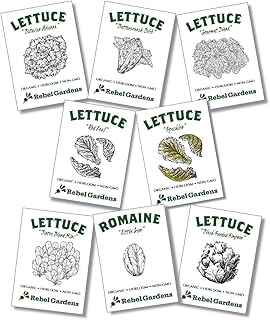Organic Lettuce Seeds for Planting - 8 Leafy Greens Heirloom Non GMO Home Garden Vegetable Varieties