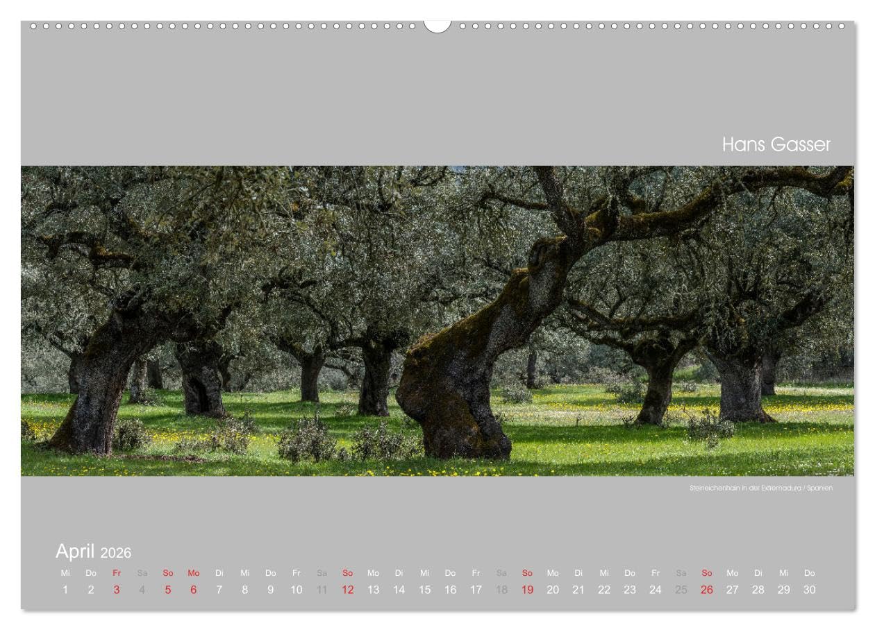 GROSSARTIGE LANDSCHAFTEN 2026 (hochwertiger Premium Wandkalender 2026 DIN A2 quer), Kunstdruck in Hochglanz: Panoramakalender von den schönsten Gegenden unserer Erde (CALVENDO Natur)