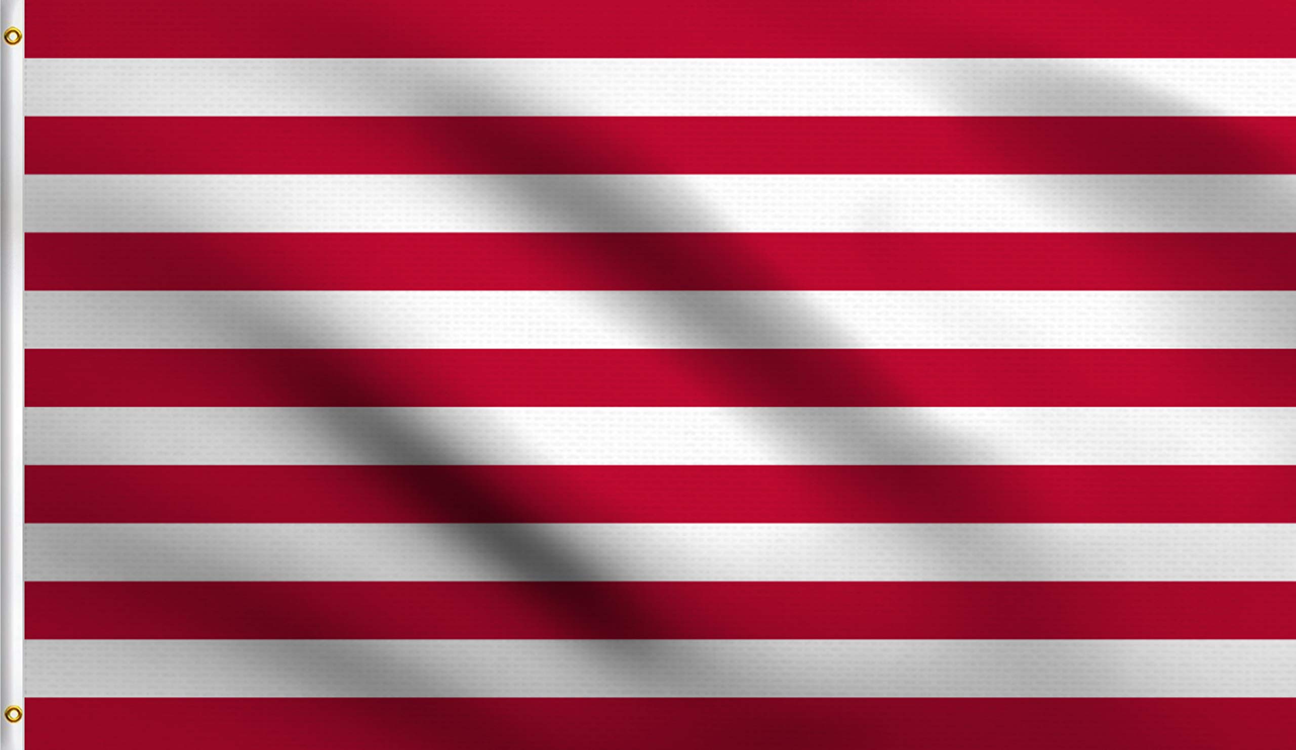 DMSE Sons of Liberty Flag 3X5Ft Foot 100% Polyester 100D Flag