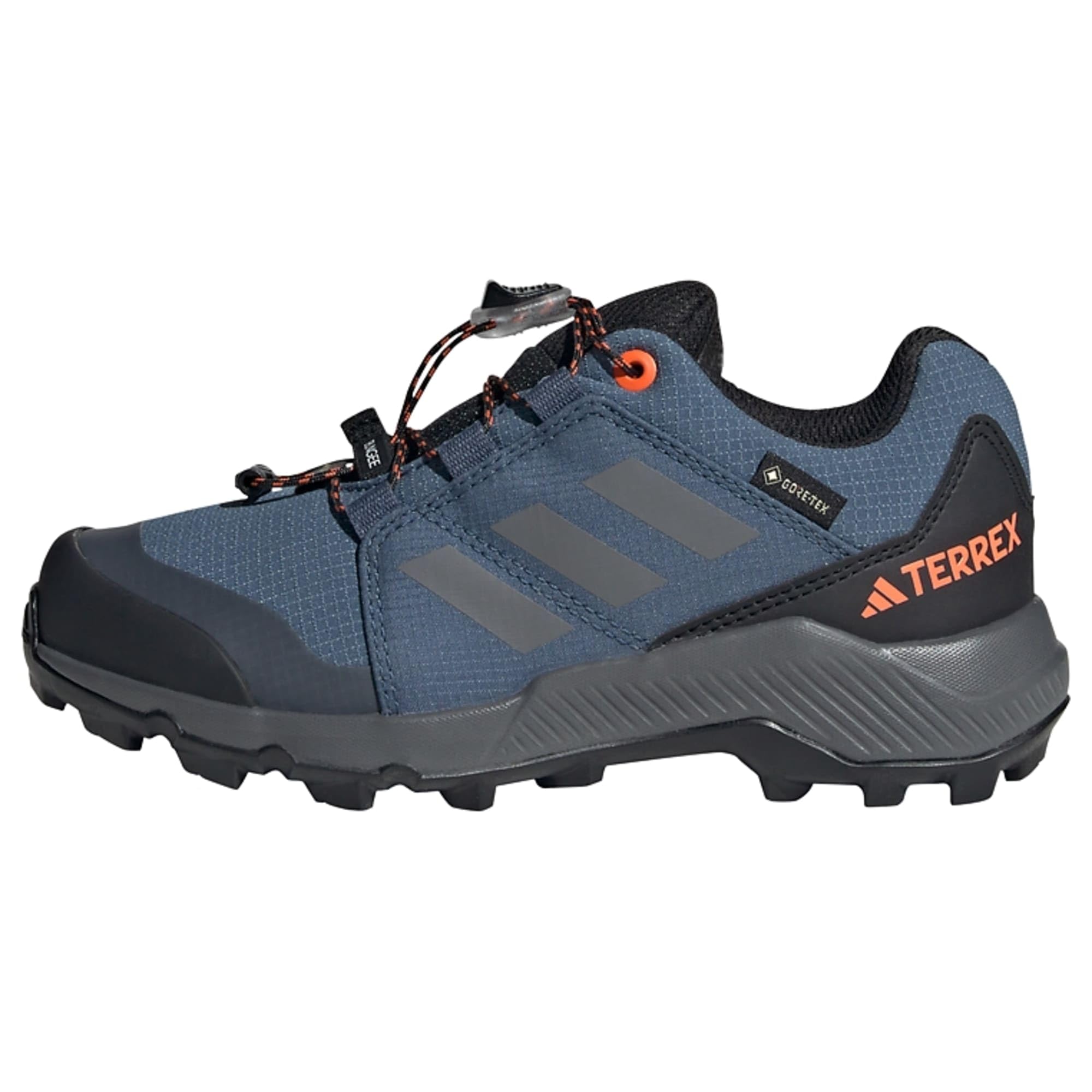 adidas Terrex GTX K, Shoes-Low Unisex niños