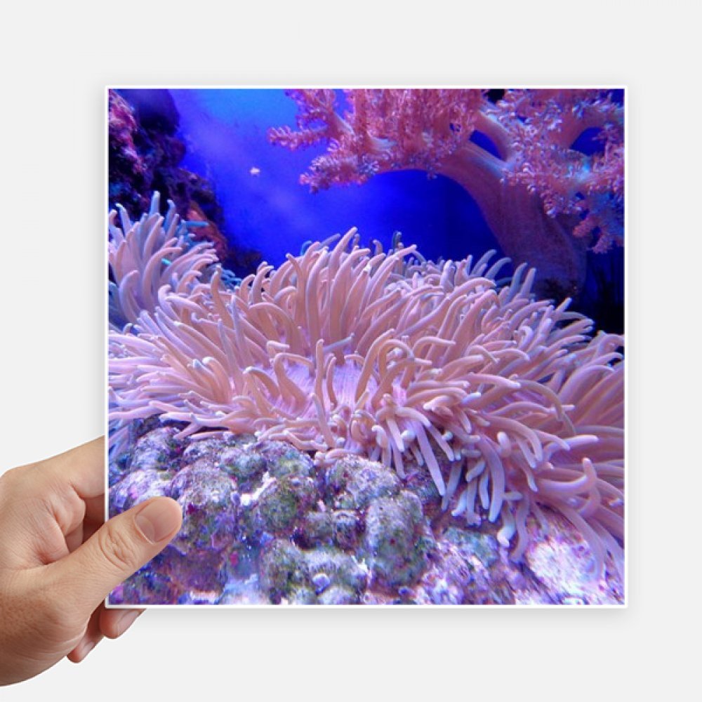 Stickers de coral oceánico de 20cm cubren arañazos en portátiles y maletas con arte de ciencia