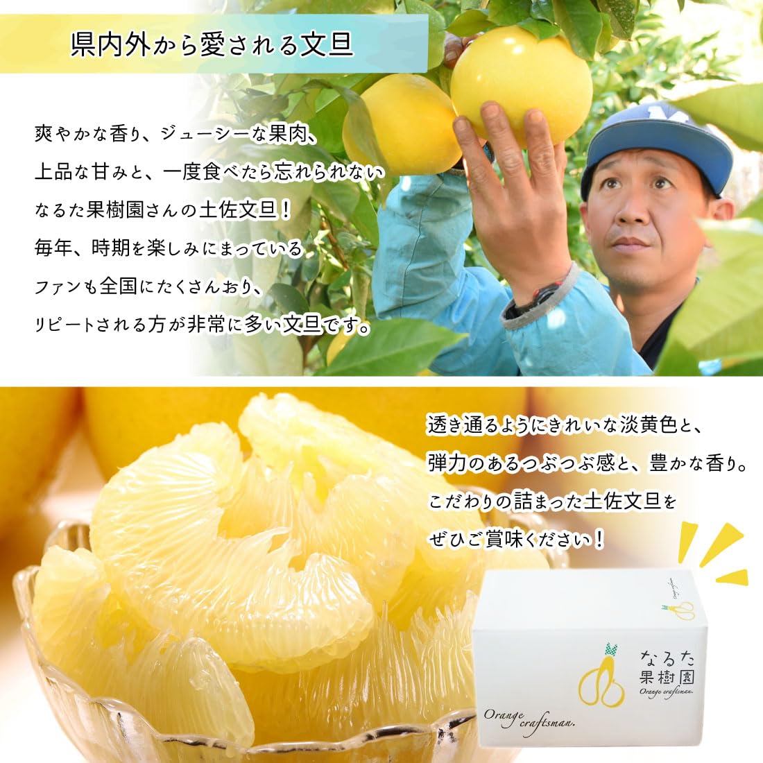 Amazon.co.jp: 土佐の旨味市場 文旦 土佐文旦 家庭用 5kg L～2Lサイズ