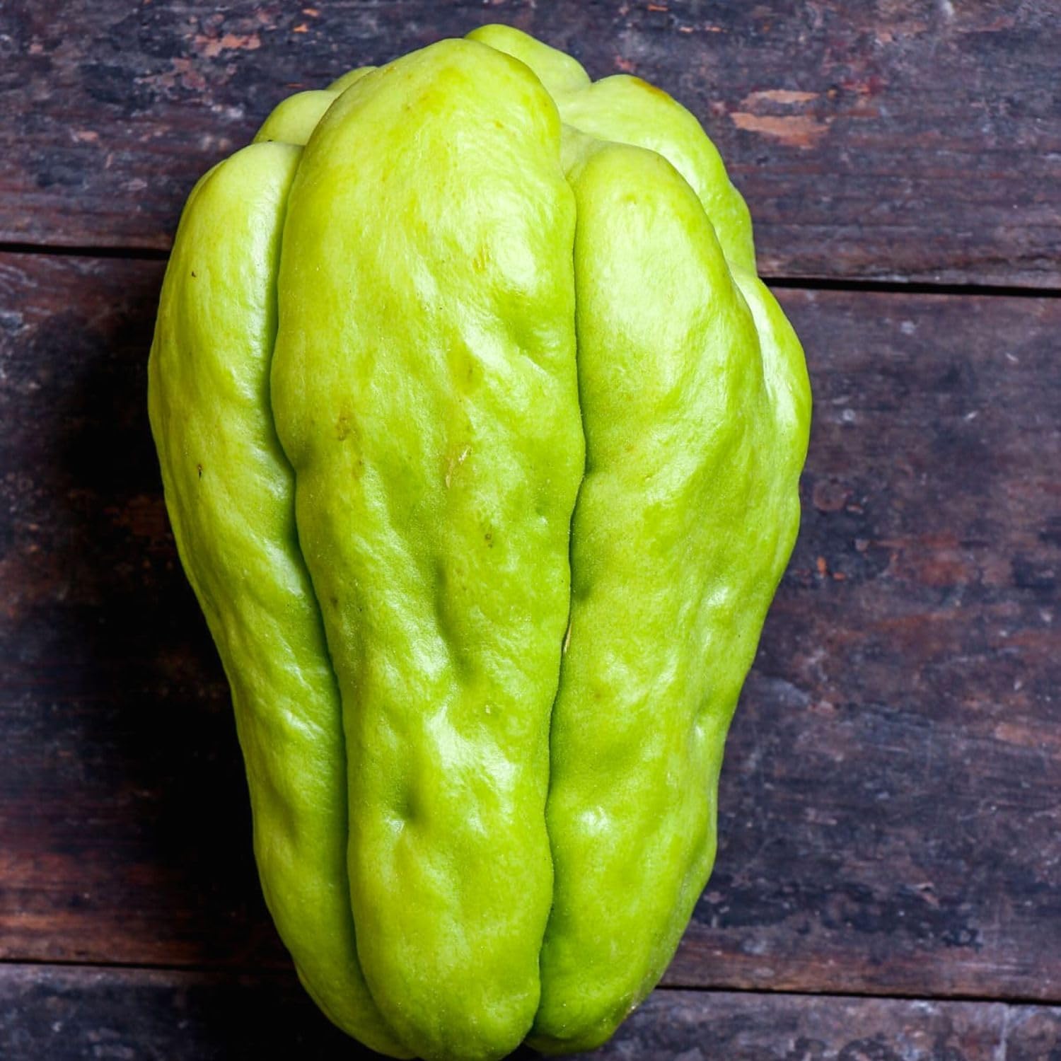 Chayote Squash Plant, 4 Inches and 5 Inches Tall, Vegetable Plant for Planting, Chayote Plant