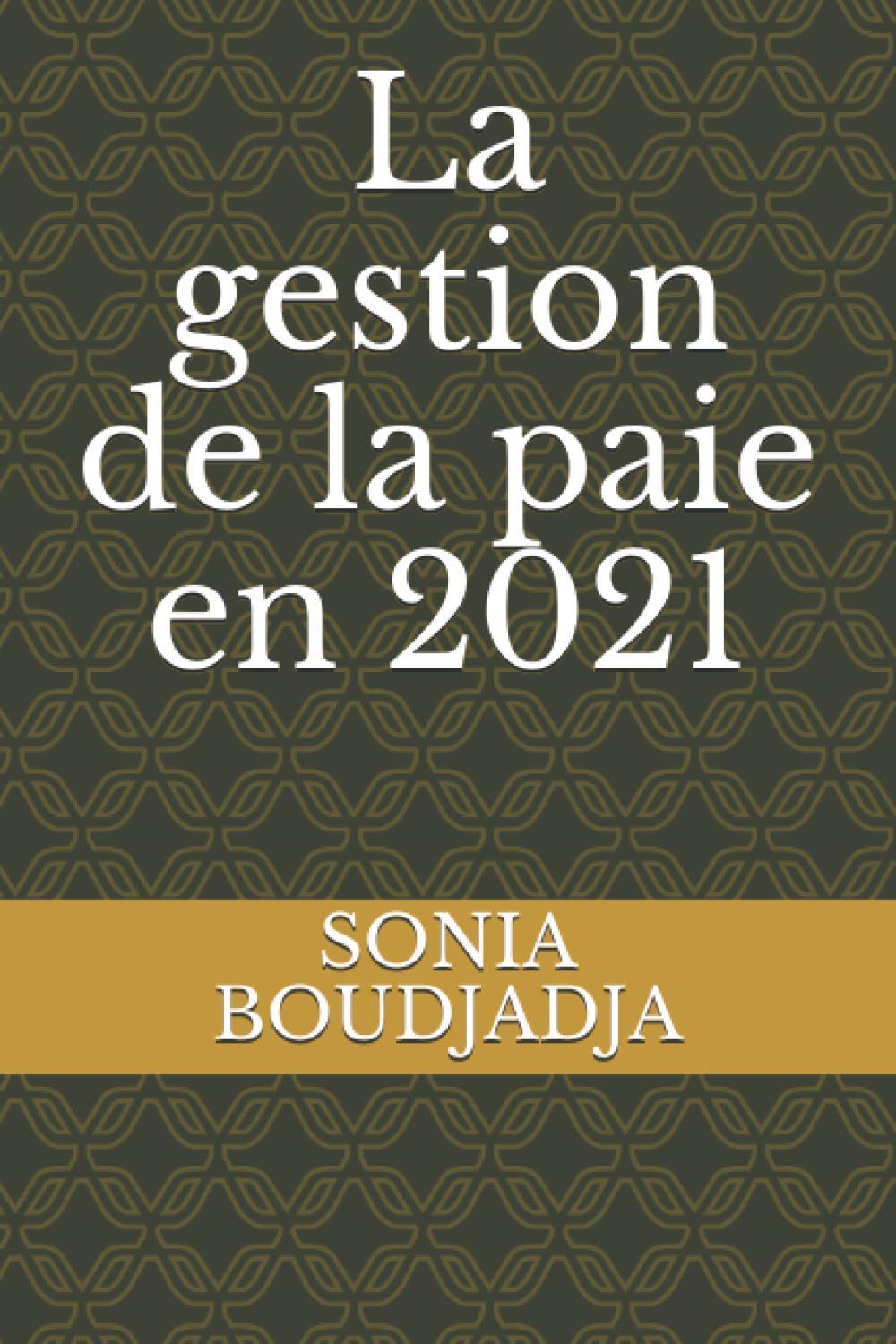 L Essentiel De La Paie 54 Fiches Pratiques Amazon.fr - La gestion de la paie en 2021 - BOUDJADJA, SONIA - Livres
