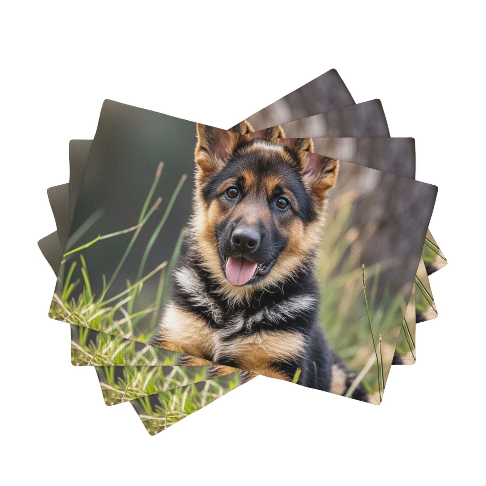 Placemats Set of One Size Washable Wipeable Table Mats Heat Resistant Weave Place Mats German Shepherd Puppy Placemats Wrinkle Free Place Mats for Dining Table Party Holiday 30 x 45 cm