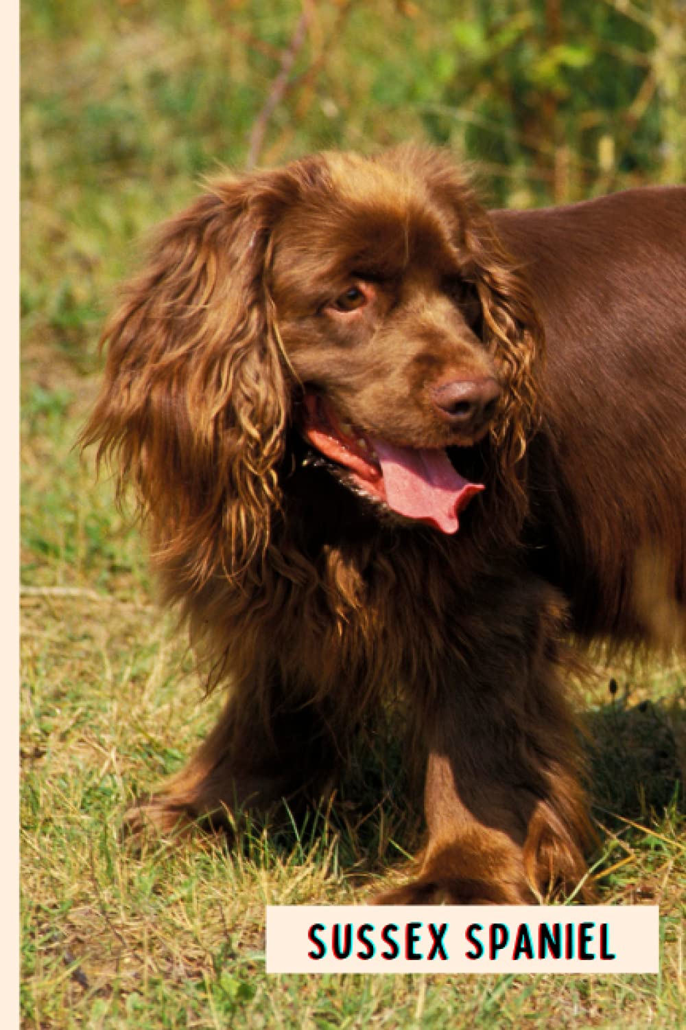 Sussex Spaniel: Perfect Sussex Spaniel Journal for Memories And Notes , Sussex Spaniel Notebook ( 110 Pages, 6x9 )