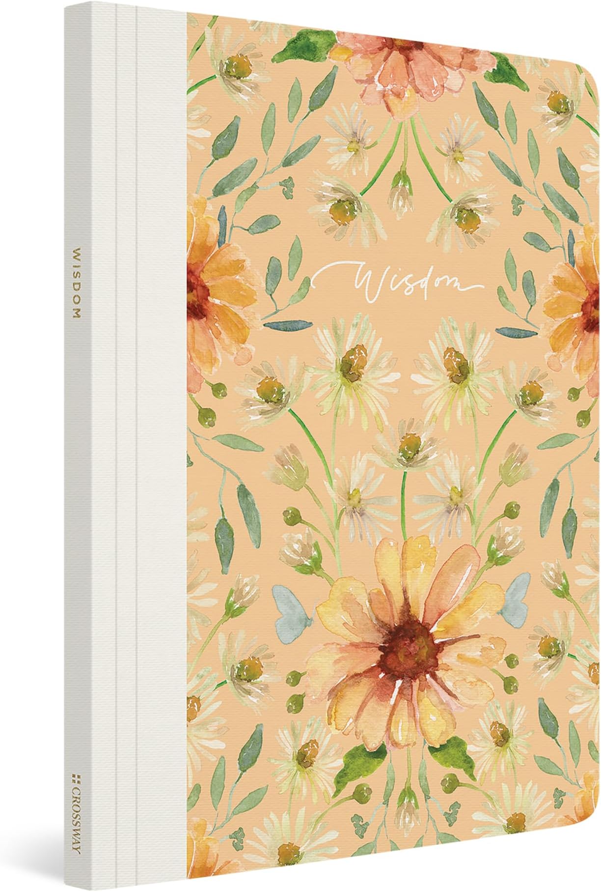 ESV Prayer Journal: 30 Days on Wisdom (Paperback)