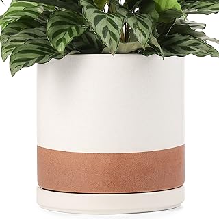 HYGGEISM Ceramic Planter Pot with Drainage Hole and Saucer, 7.3" Modern Plant Pot for Flower, Succulents and Cactus Indoor...