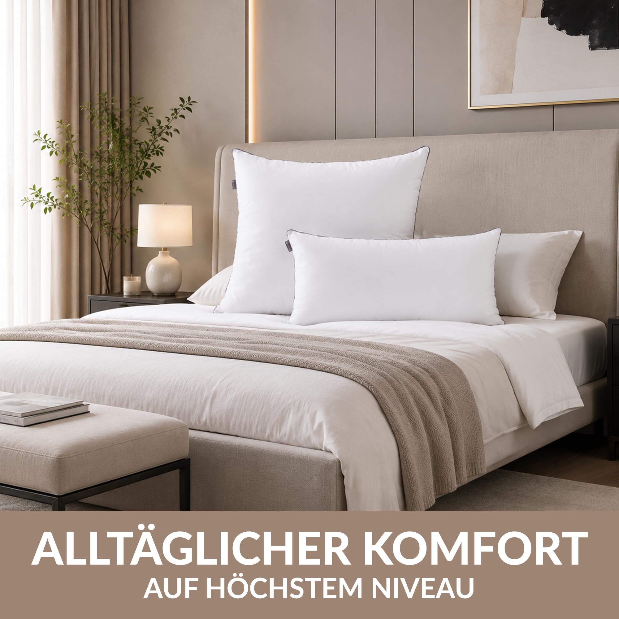 KALIOPE Kissen, Allergiker Kopfkissen aus Mikrofaser, 80 x 80 cm, 2er Set