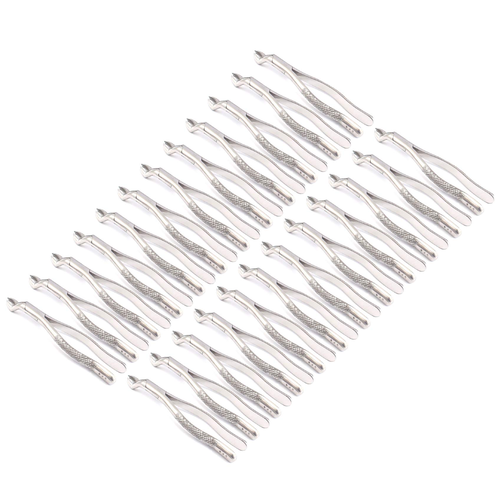 OdontoMed2011® Set Of 24 Dental Extracting Forceps #53R Dental Extraction Instruments ODM