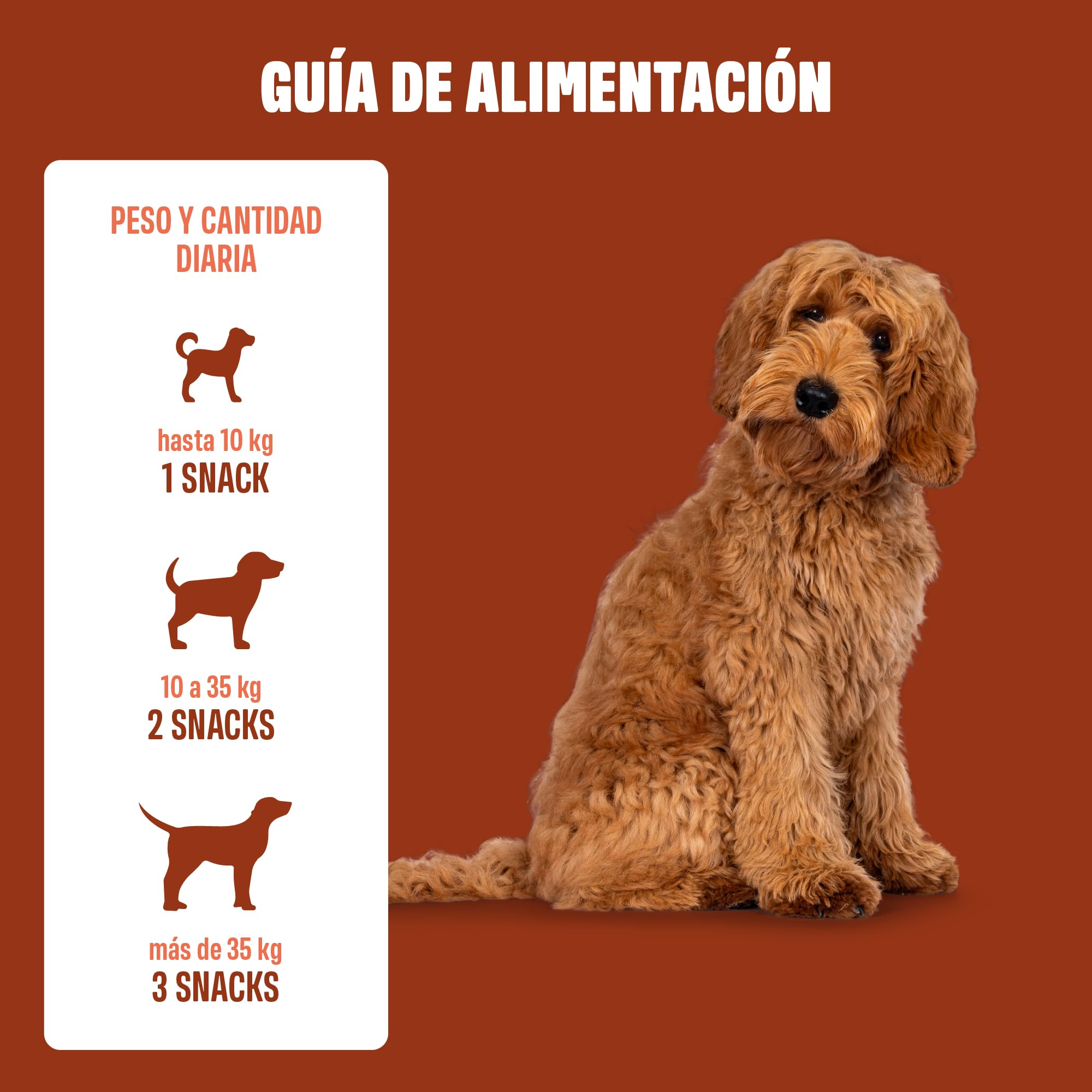 ivvi Anal Gland Snacks para Mejorar la Salud de Las glándulas Anales en Perros - Contiene Calabaza, Psyllium, Lino, Diente de León, Ortiga y Prebióticos. 60 Snacks (270g) con Mantequilla de Cacahuete