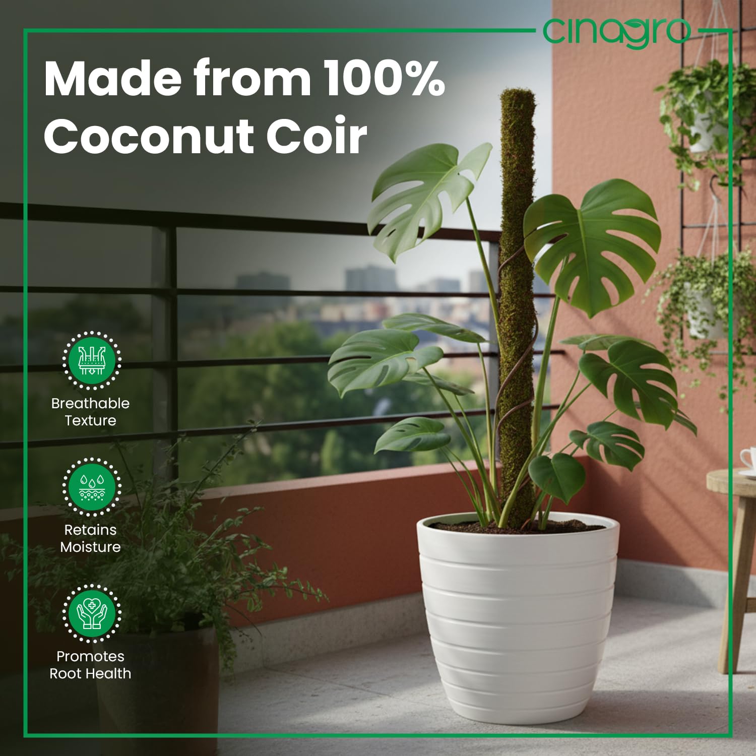 Coir Moss Sticks - Plant Support for Climbing Plants -3