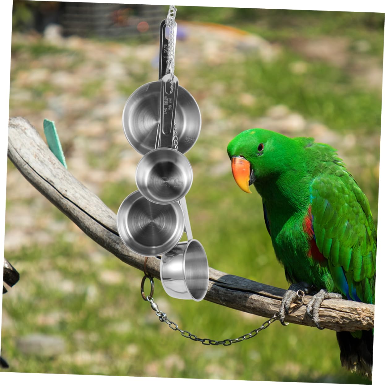 Hemobllo 2pezzi Giocattoli Appesi Per Inossidabile Giocattoli Masticare Per Pappagalli e Parrocchetti Accessori Per Cage Bird Divertimento e Stimolazione Mentale