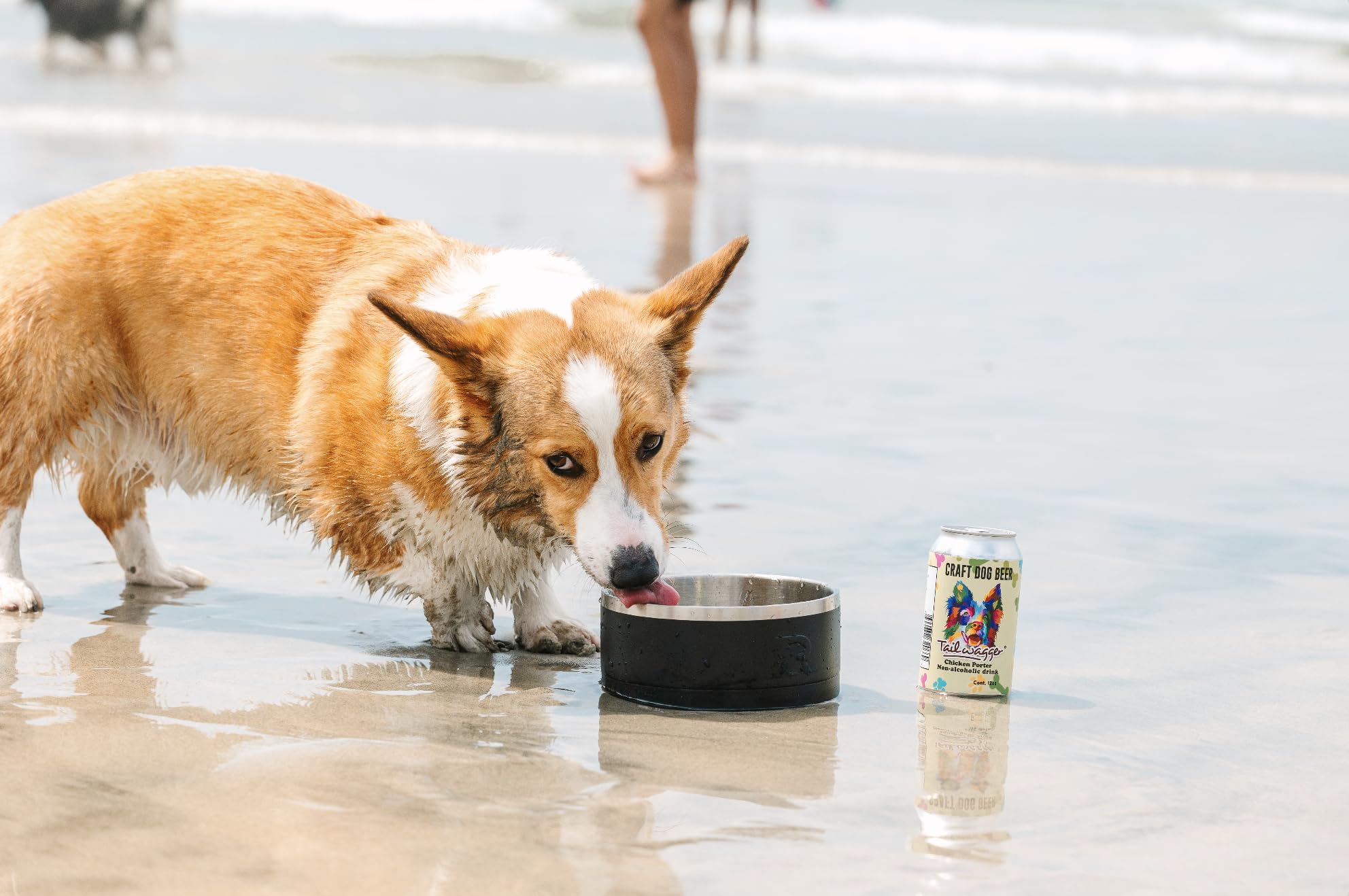 Amazon.com: Tailwagger Craft Dog Beer - Chicken Porter Flavor