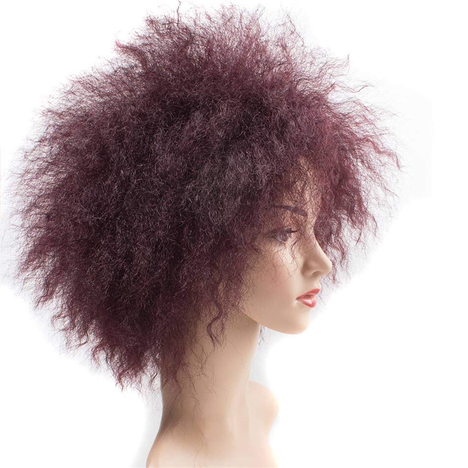 Damskie peruki z włosami afro perwersyjna prosta peruka afrykańska krótka peruka dla kobiet wysoka temperatura włókna Cosplay syntetyczna peruka Beauty Ladieshair (kolor: 1, rozmiar: 20 cali)