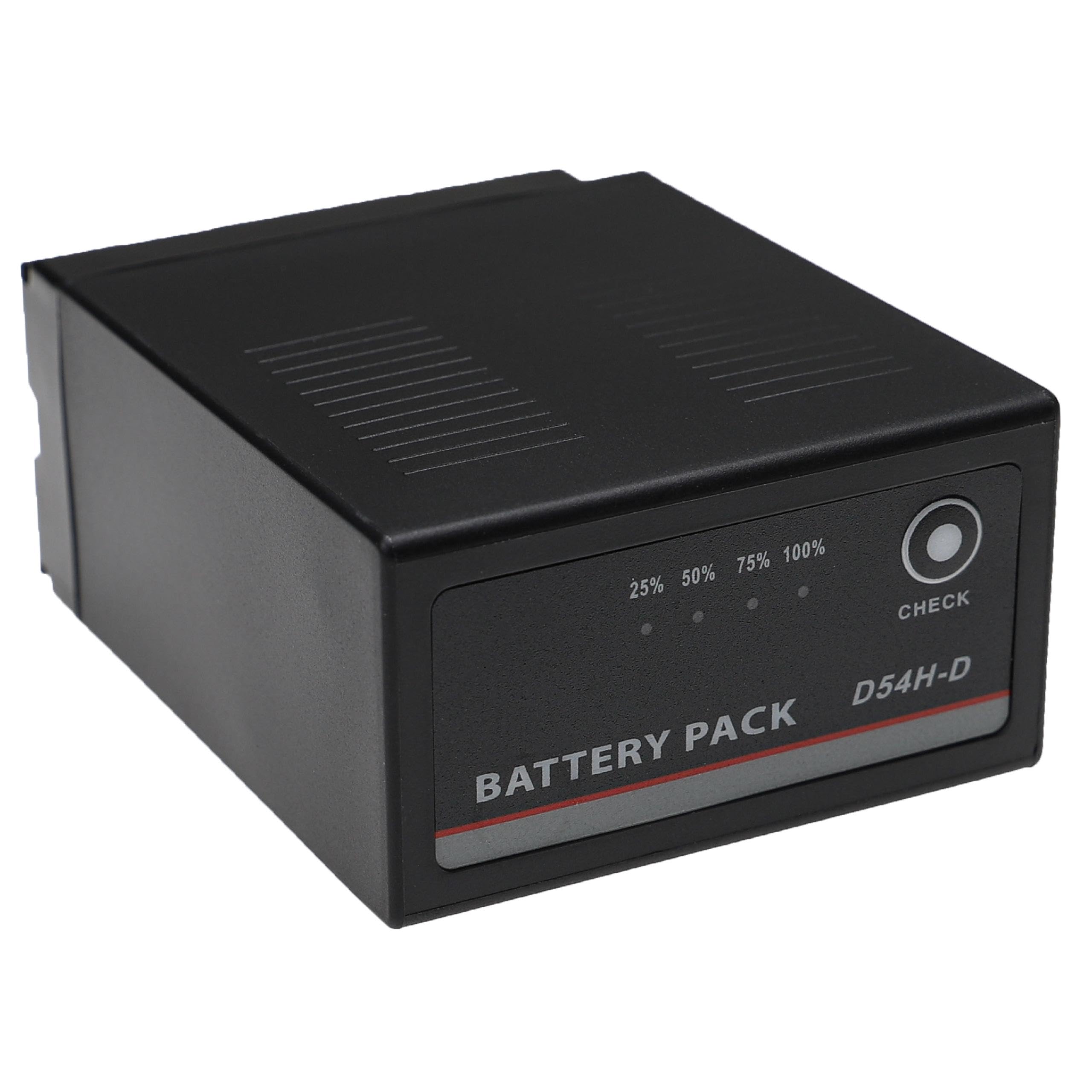 2X Batterie Compatible avec Panasonic AG-DVX100BE, AG-DVX100B, AG-DVX100AP, AG-DVX100BP caméra vidéo caméscope (7800mAh, 7,4V, Li-ION)