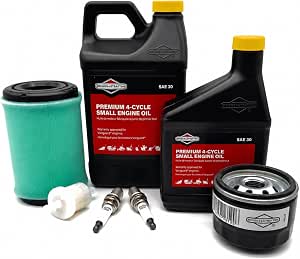 Briggs & Stratton 84002442 V-Twin Maintenance Kit