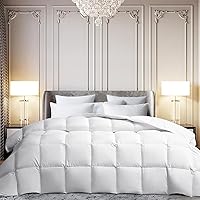 Martha Stewart Queen All-Season Goose Feather Down Comforter - Fluffy 90x90 Duvet Insert, Noiseless Microfiber, Corner Loops