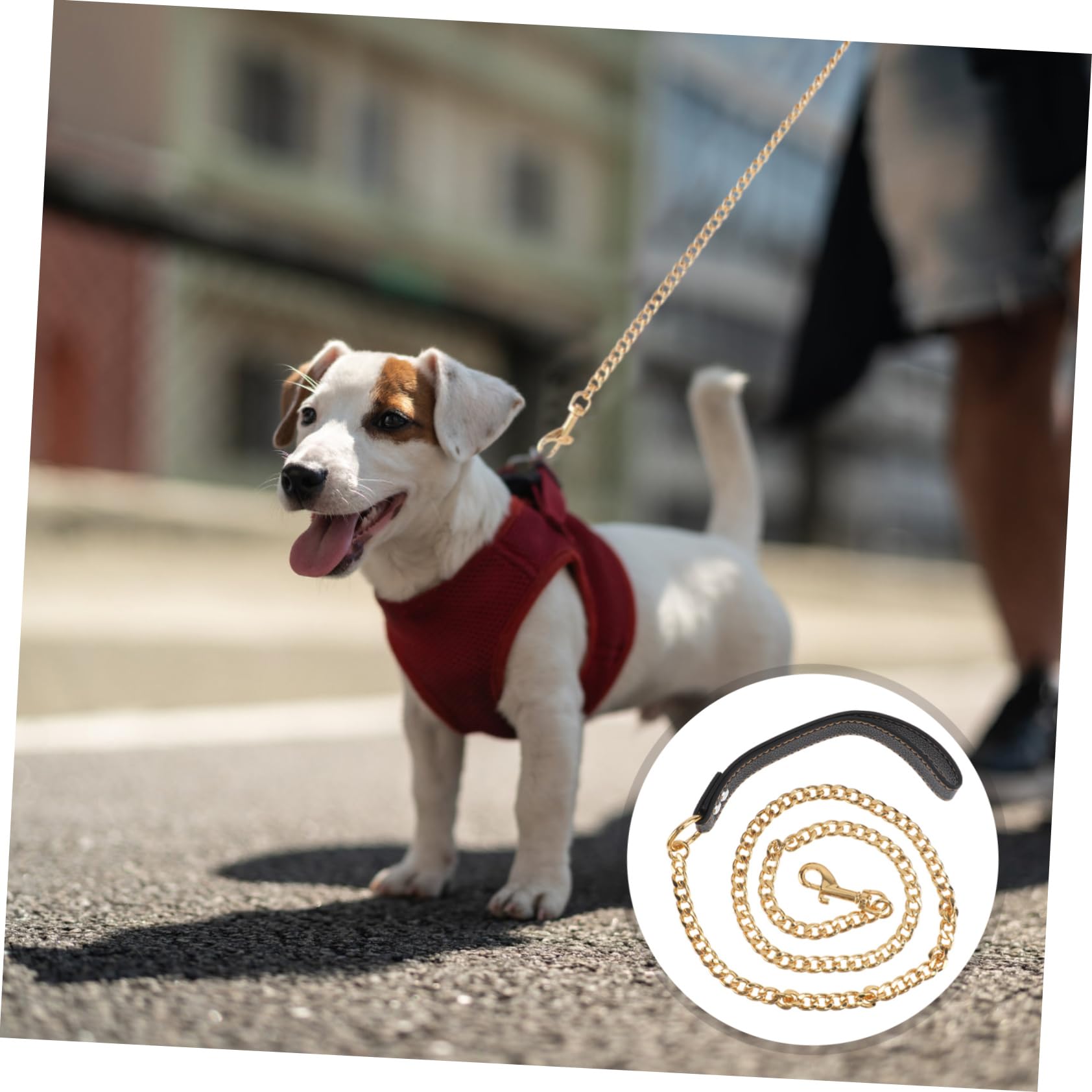 Guinzaglio per Cani in Acciaio Inossidabile Oro per Controllo e Camminata