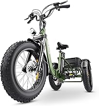 HIDOES ET1 Electric Tricycle Adult, 20 x 4.0 Inch Fat Tire Cargo E Bike with 48V 20Ah Lithium Battery & 250W Motor, 3 Wheel Folding Bikes with LCD Display, Electric Trike for Adults Men & Women