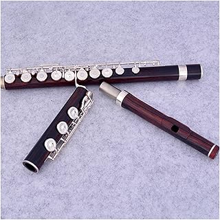 Flute 17 Open Hole C Key Way Silver-plated Cupronickel flute instrument