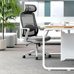 Cadeira de Escritorio Ergonômica Presidente NR17 Modelo ErgoPro One (Cinza)