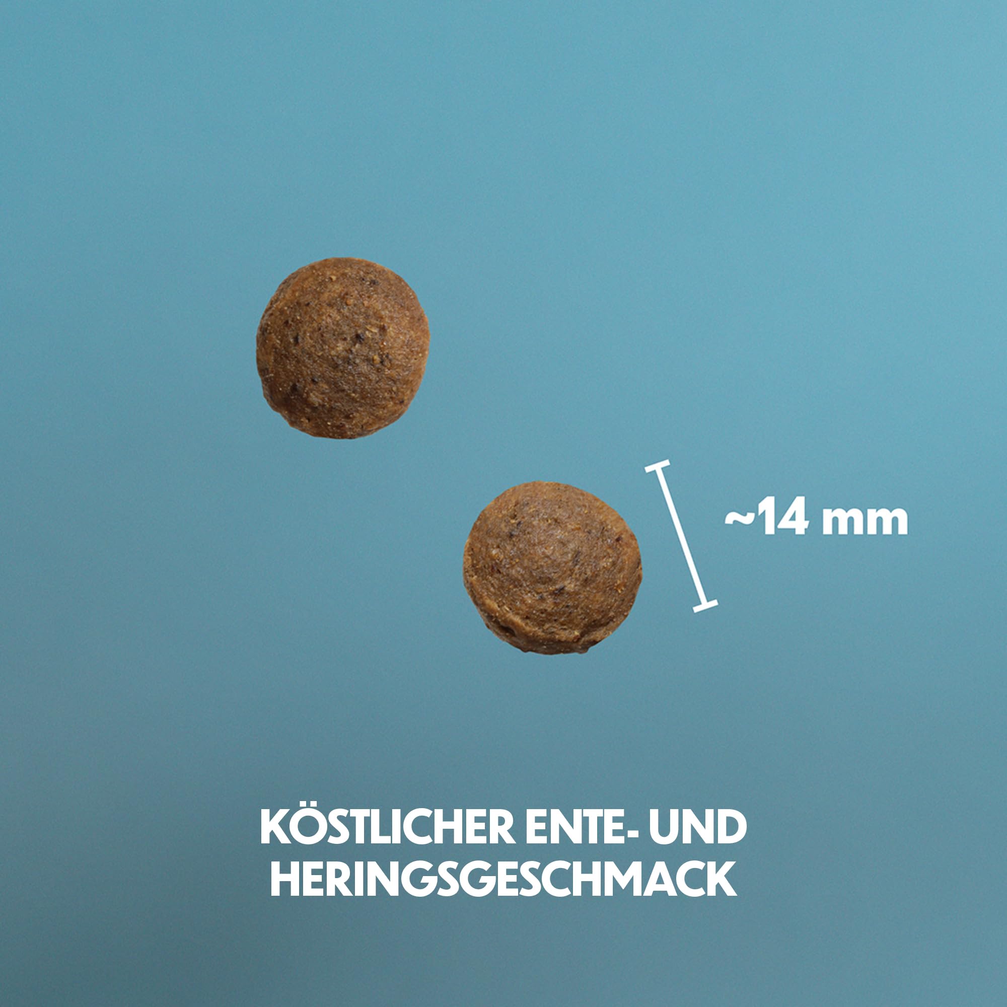 Trockenfutter mit Ente & Hering für aktive Hunde, 10 kg | Hoher Proteingehalt, mit Ente & Hering, für aktive Hunde & Arbeitshunde, leicht verdaulich, unterstützt Muskeln & Gelenke