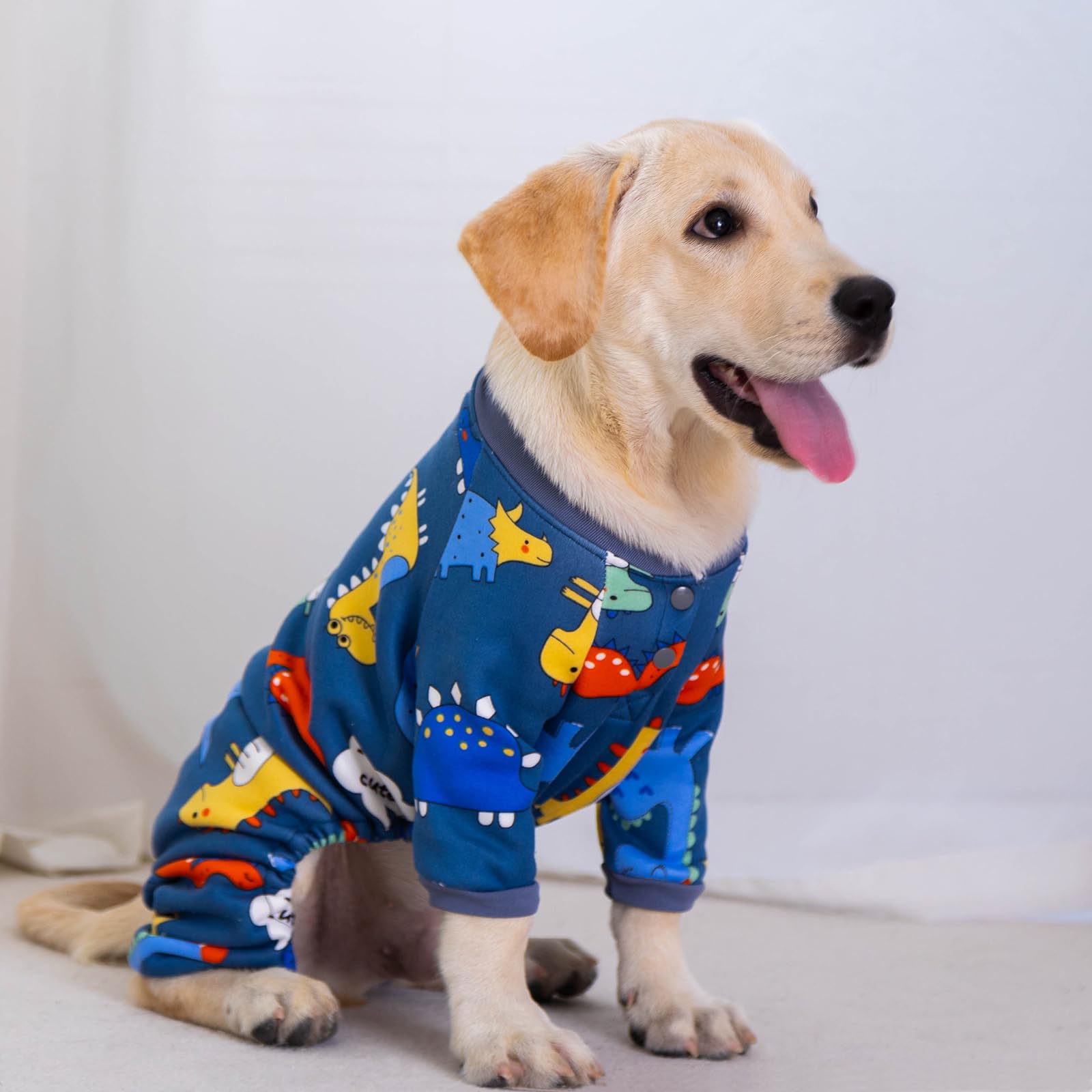 Pyjama intérieur en polaire pour chien, pyjama mignon en forme de cœur, pyjama pour chiot, vêtement de vacances chaud et doux pour chats et chiens de petite, moyenne et grande taille (bleu