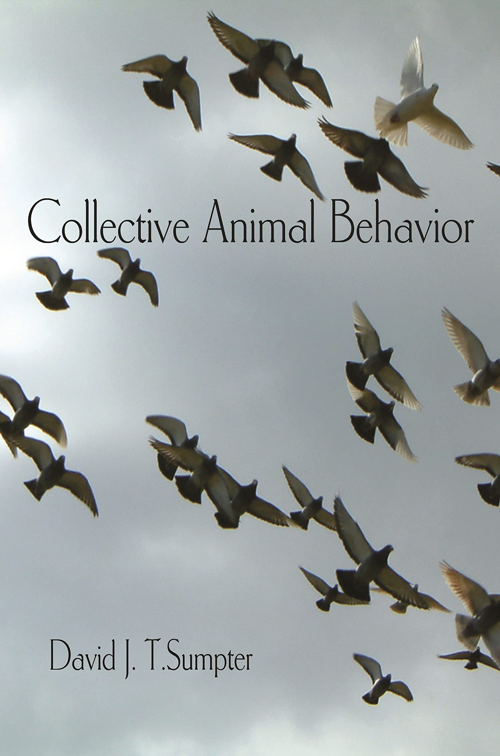 Buy Collective Animal Behavior — BookShops.in