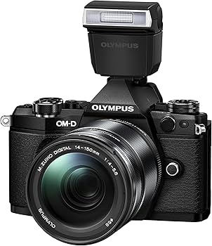 Amazon.co.jp: Olympus FL-LM3 : Electronics