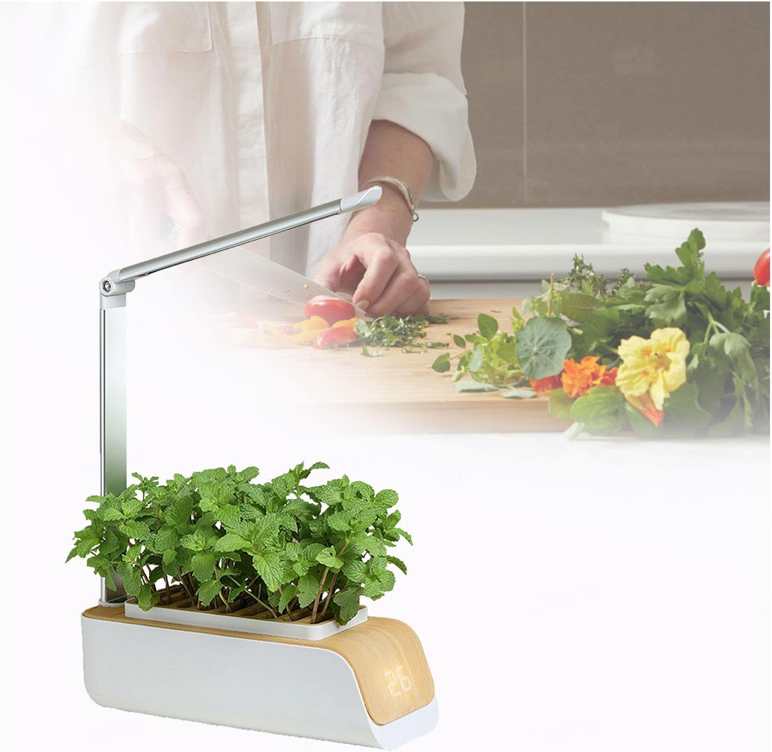 Hydro Ponic Grow System, Plant Glow Light Bionic Lighting,Water Level Prompt, Plant Indoor Growing System, for Herb Garden/Succulent Growth