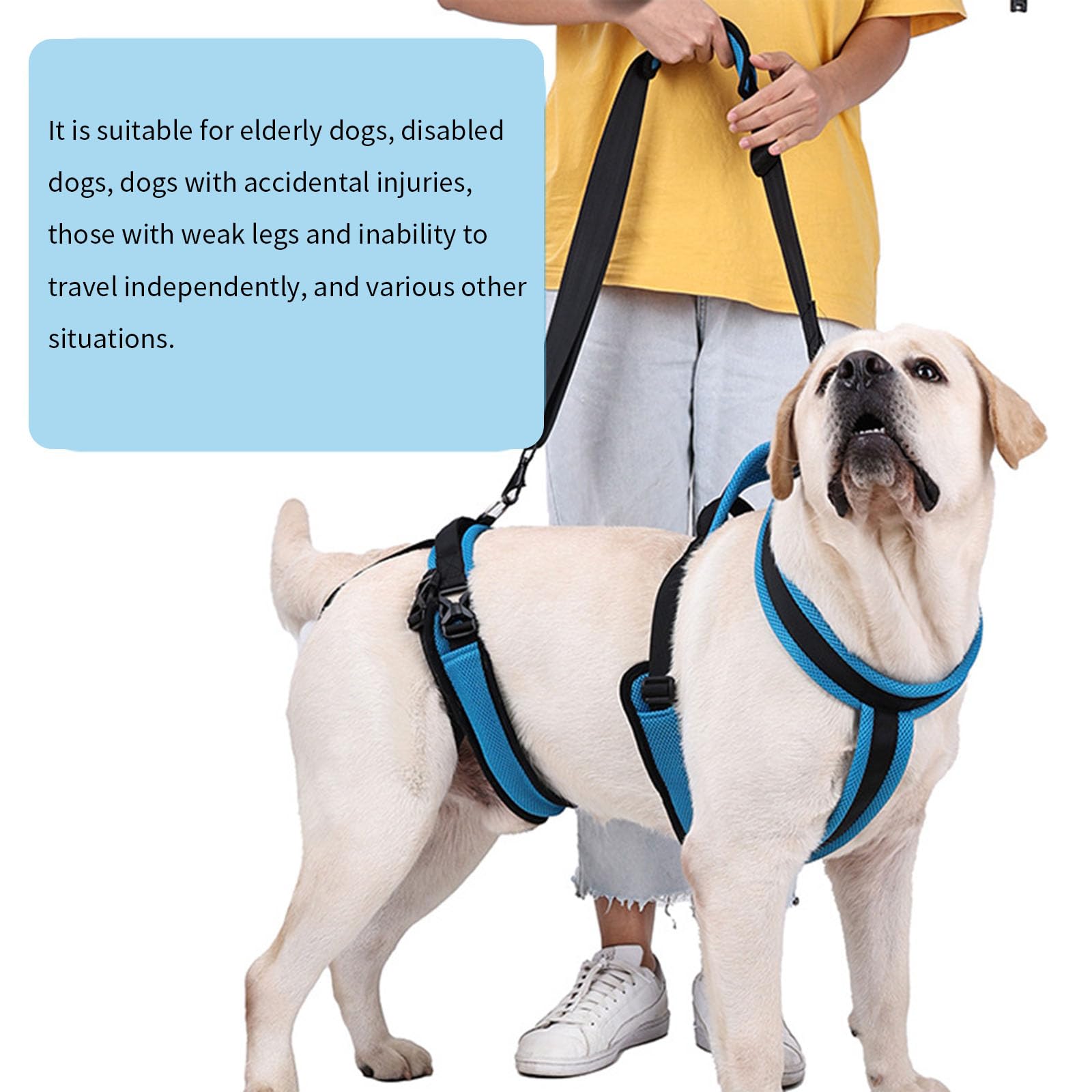 Cinturón cómodo de instalación rápida para perros ancianos, equipo de caminar al aire libre, arnés para perros mayores