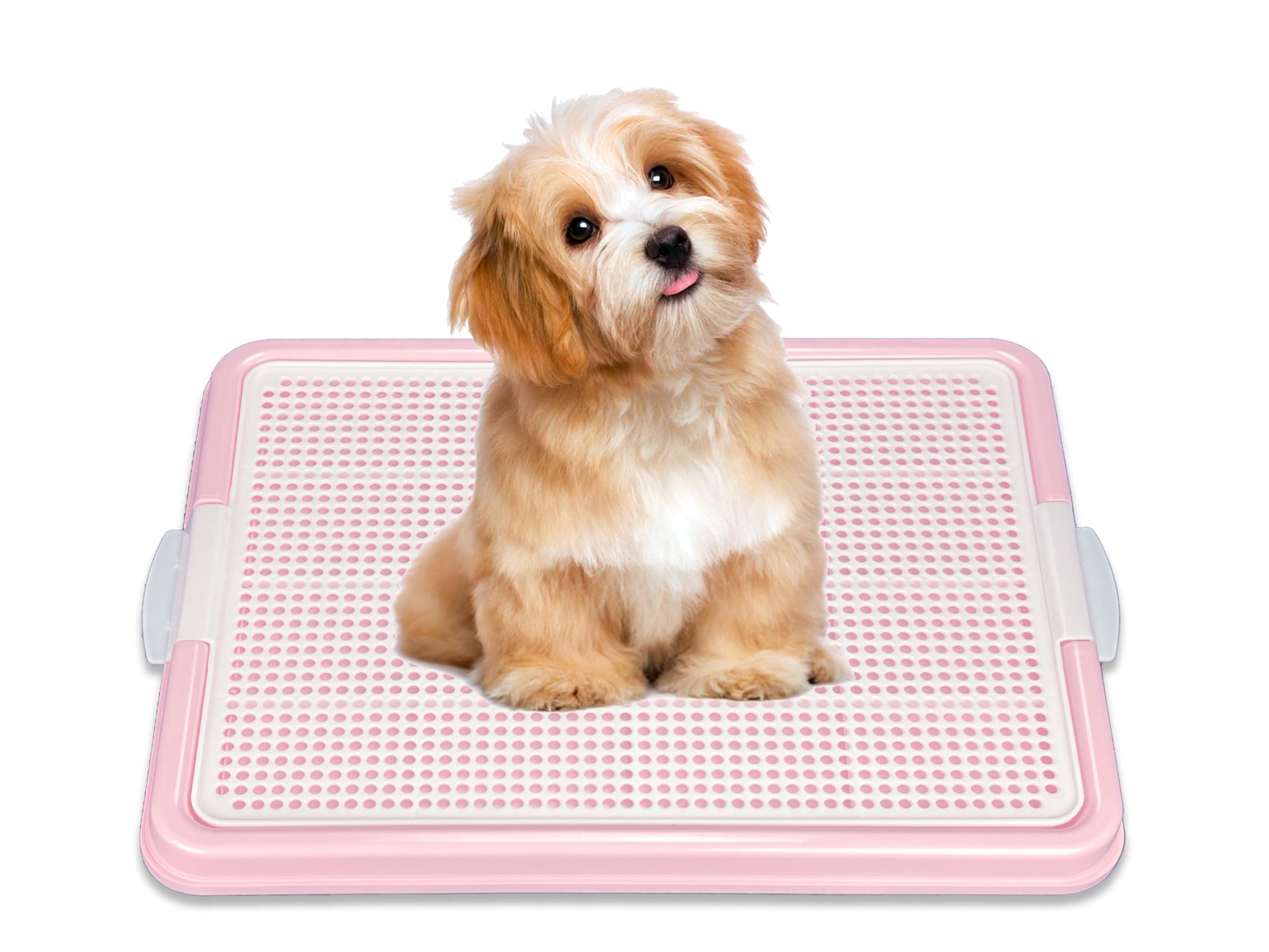 Pets-N-Me Dog Pee Pad Holder, Puppy Potty Training Tray 22.5”X16.5” for Small Dogs (Pink)