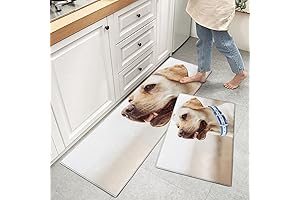 Teamery Dog Hair Floor Sweeper