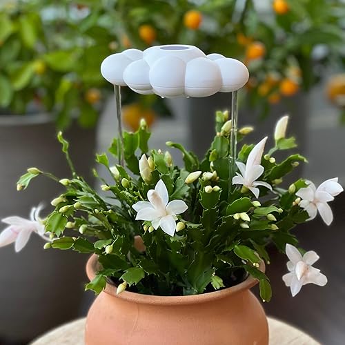 Miniatura 3 de La nube de lluvia original goteante para plantas, nube de lluvia de riego de plantas, regalos para amantes de las plantas, regalos para mujeres