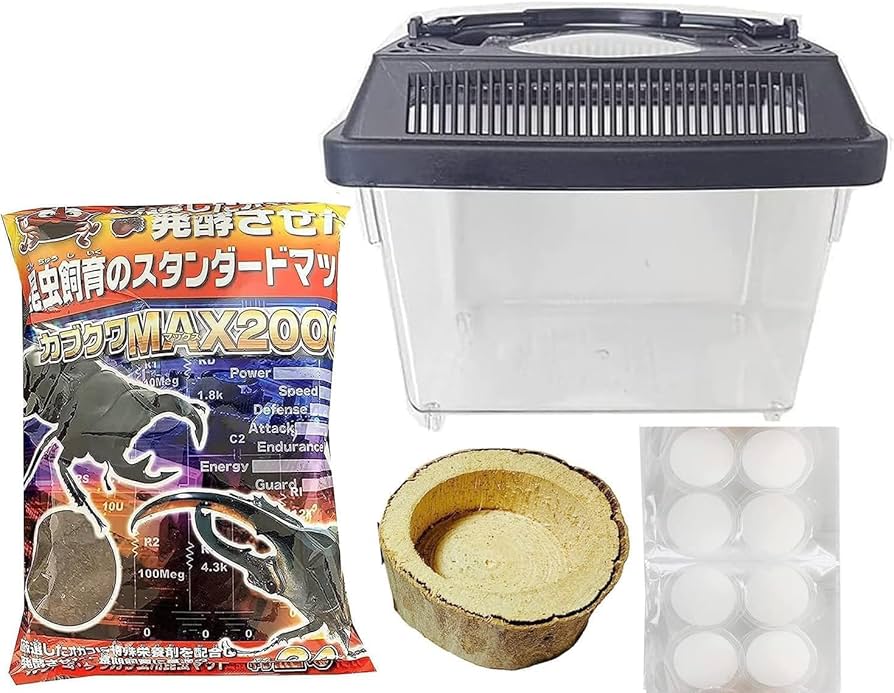 Amazon | カブトムシ＆クワガタ 飼育セット（ 飼育ケース 昆虫
