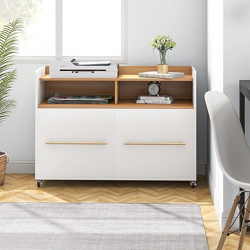 Tribesigns Archivador de 2 cajones para oficina en casa archivador lateral blanco archivador de madera para tamaño carta soporte de impresora con