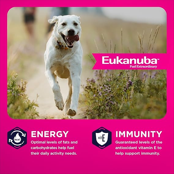 Eukanuba Adult Large Breed Dry Dog Food, 35 lb bag