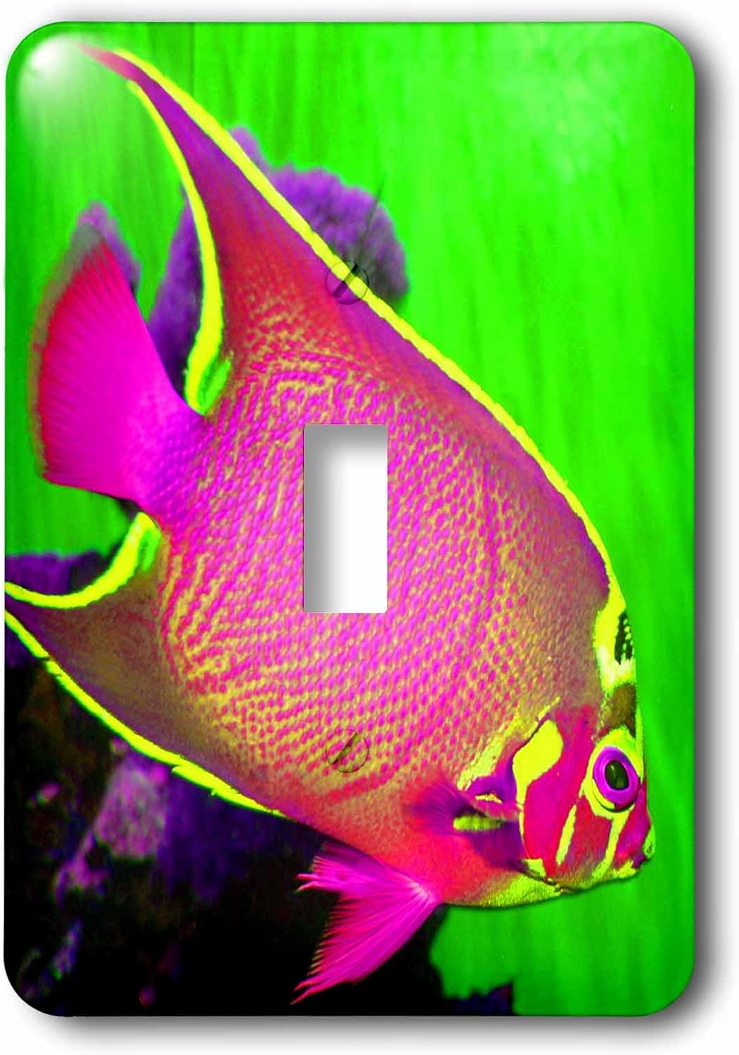 3dRose lsp_194378_2 Neon Fish Light Switch Cover
