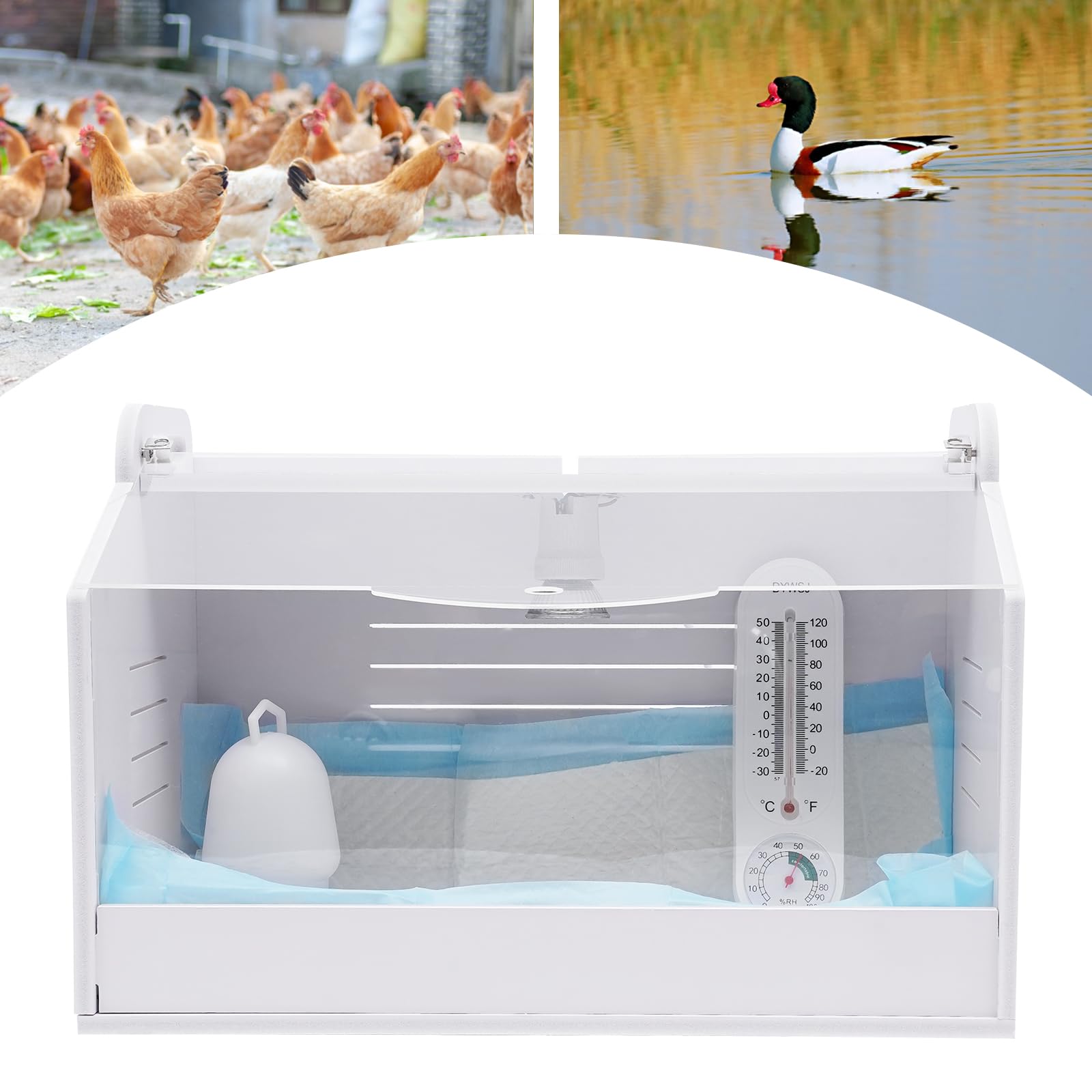 Scatola di allevamento per pulcini, scatola riscaldante per pulcini con lampada termica e termometro, incubatrice per pulcini, scatola per cova, incubatrice automatica per pollame, rettili