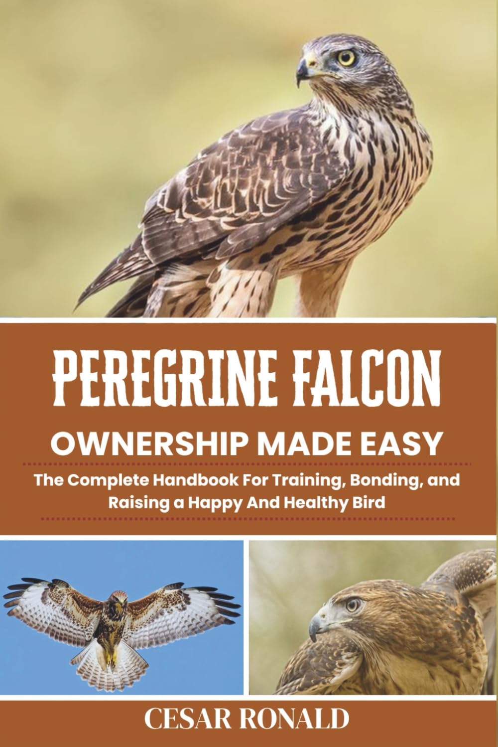 Peregrine Falcon Ownership Made Easy: The Complete Handbook For Training, Bonding, and Raising a Happy And Healthy Bird (The Bird Encyclopedia Collection)