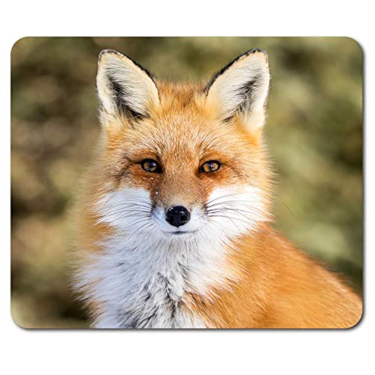 Beautiful Ginger Fox Mouse Mat Pad - Wild Animal Cub Mum Gift PC Computer #8323