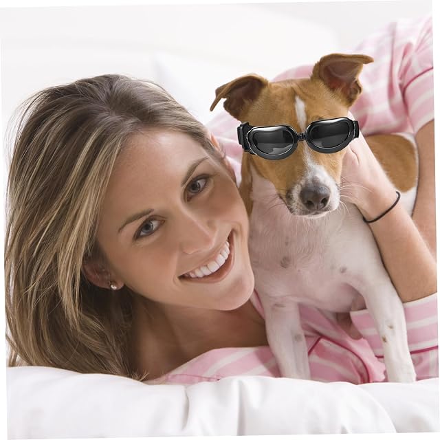 Foto 3 de 7 de Casco y Gafas para Perro, 2 Unidades/Juego, Correa Ajustable para la Barbilla