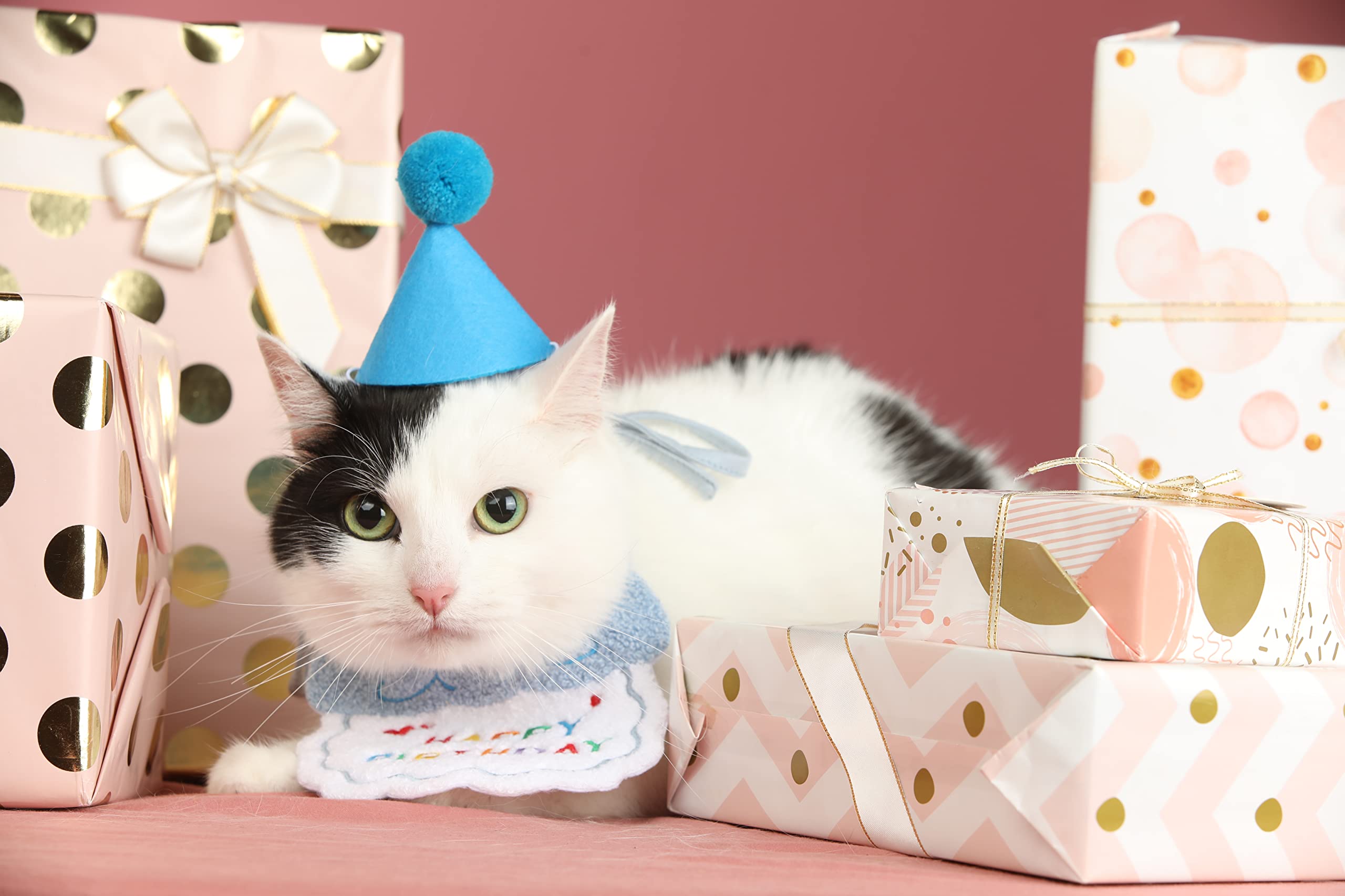 Cat Bandana Dog Birthday Party Supplies Pet Birthday Hat Crown