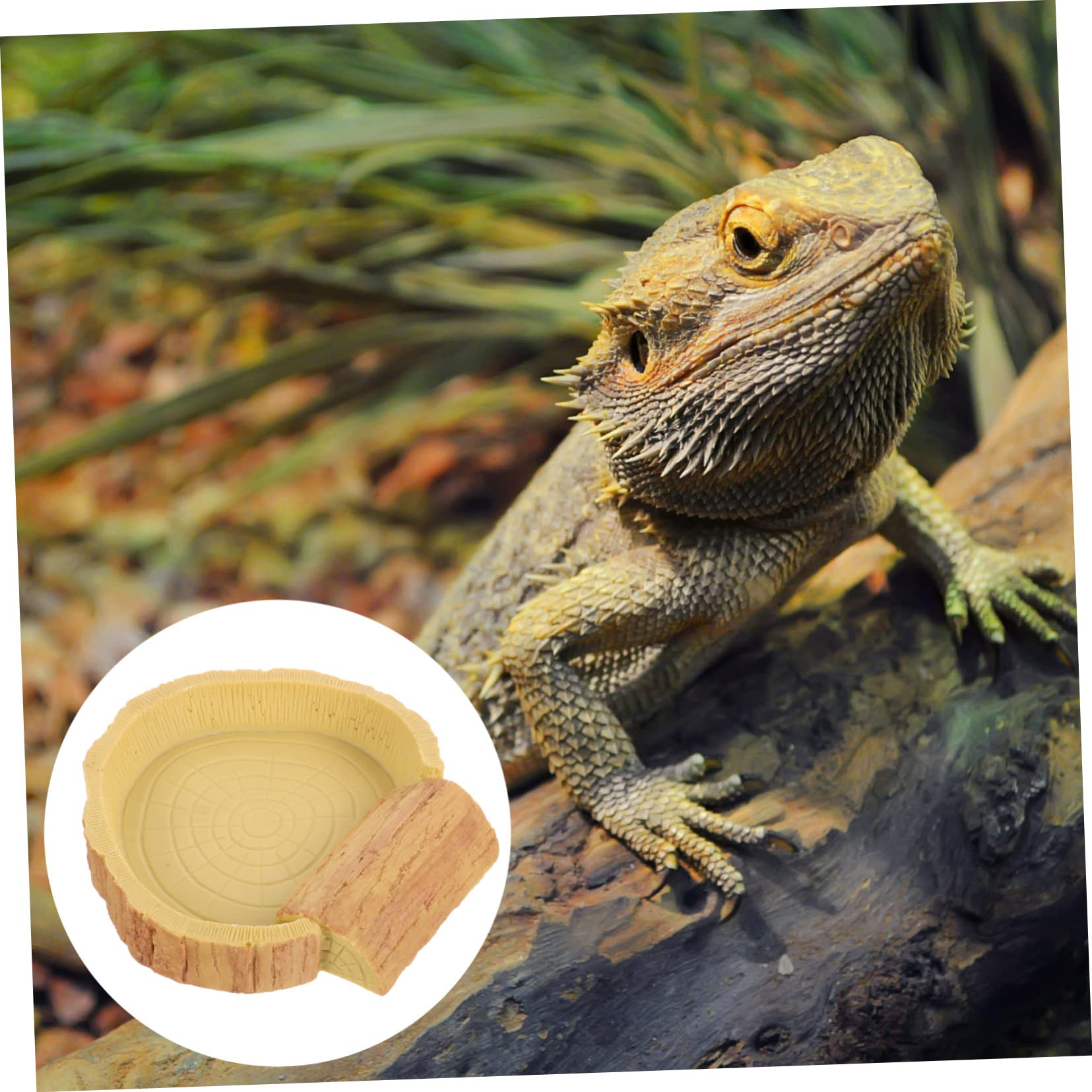 Ciotola per Rettili in Resina Solida Ciotola per Cibo e Acqua per Rettili Adatta Lucertole Tartarughe e Piccoli Animali Domestici