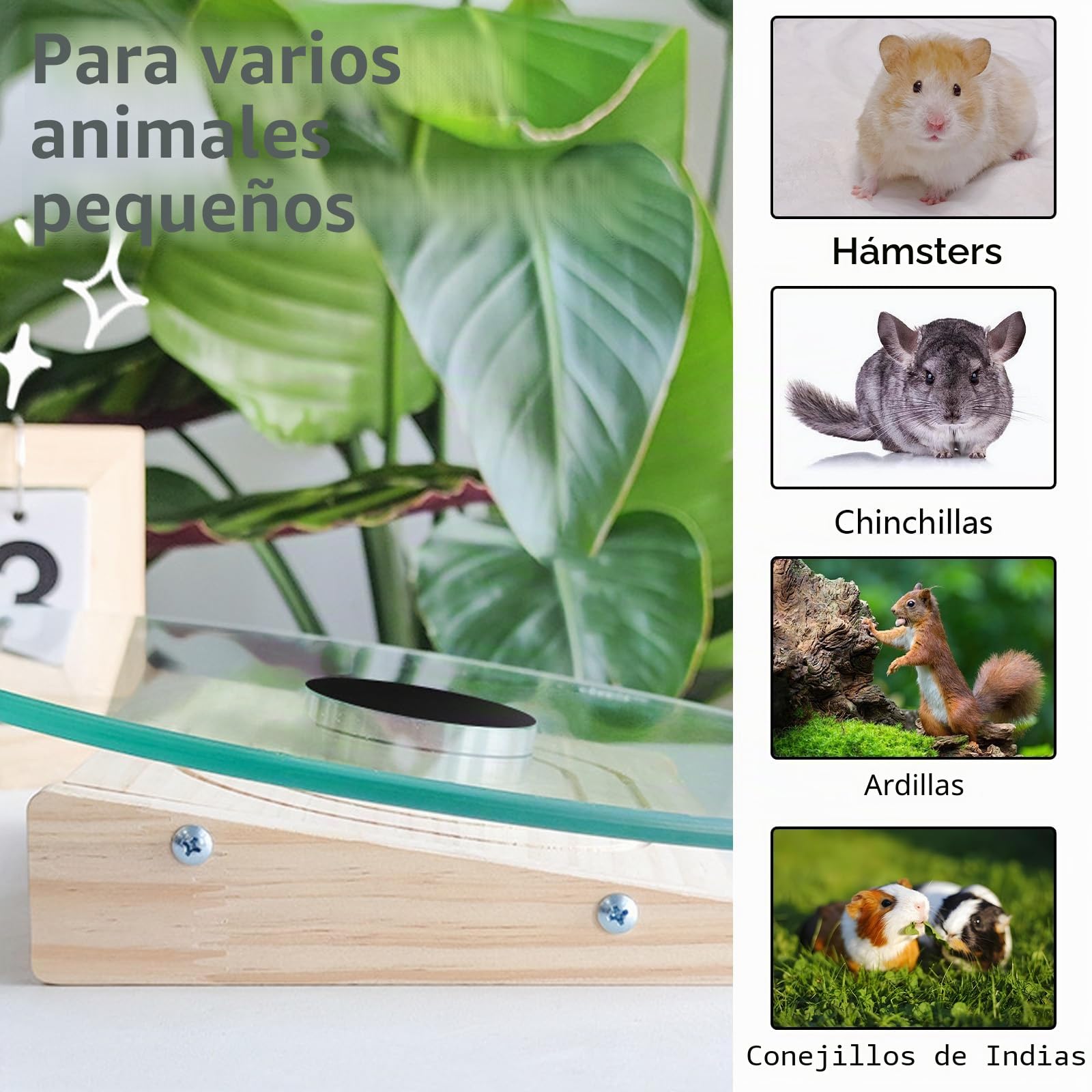 Rueda de Ejercicio, Rueda Hamster de Cristal de 28 cm para Chinchillas Lámina Giratoria para Chinchillas con Rodamiento Metálico Lámina Deportiva Silenciosa para Hámsteres Ruedas para Animales Pequeño